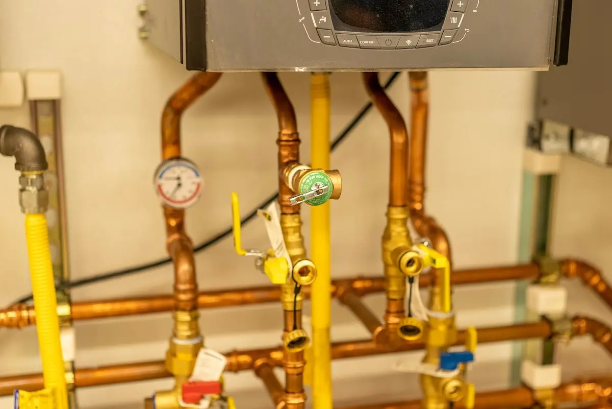 Licensed technician providing Sump Pump Repair for a homeowner in Minden